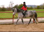 Training auf den Auenreitpltzen