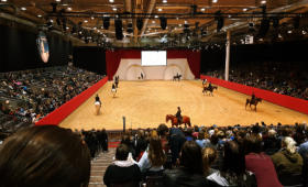 Auftritt vor großem Publikum in der Halle B7