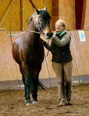Britta Horstmann mit Angelo in den Abkau- u. Biegeübungen