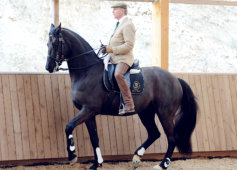 Philippe Karl mit High Noon in der Piaffe