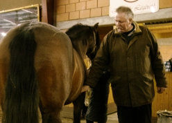 Tamme Hanken auf der Reitanlage Hellwig & Matthes