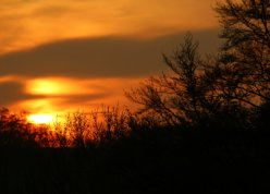 Sonnenuntergang über Pegestorf