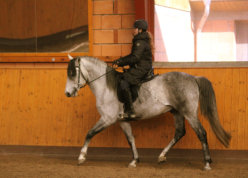 Libusha (Libby) mit Gitano (Gitti)