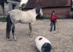 Horsemanship mit Gitano