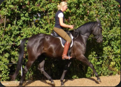 Sabine Mosen mit ihrer Trakehnerstute Saalekrone