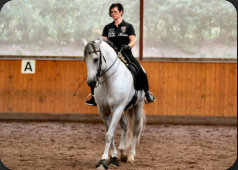 Sonja Hellwig mit ihrem PRE-Hengst Hercules Cen