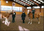 Jule mit Mirabelle und Jutta mit Matthis im Wintertraining
